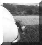 Ondiine_JM_1962.jpg (96682 bytes)